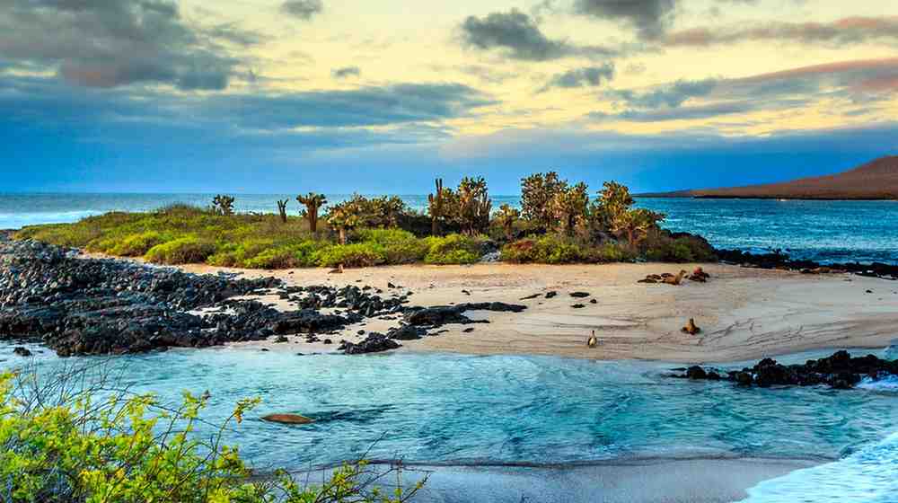 Galapagos-islands3